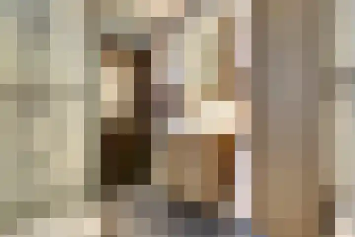 Singel 7 Noordeloos thumbnail 30