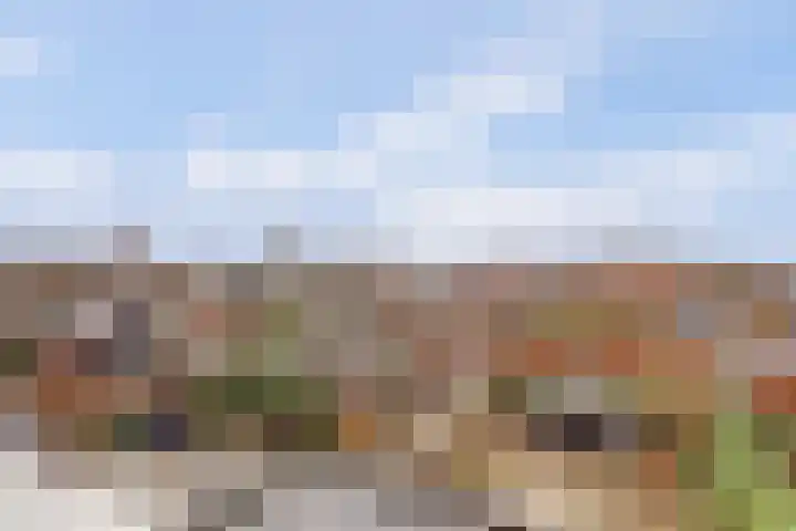 Singel 7 Noordeloos thumbnail 34