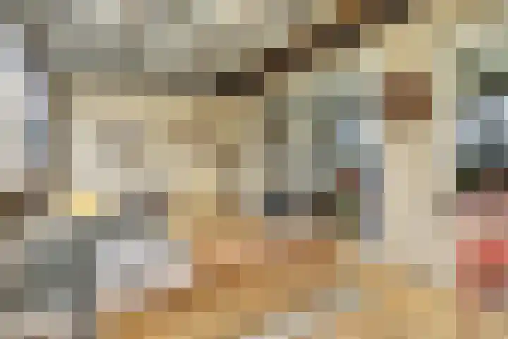 Singel 7 Noordeloos thumbnail 38