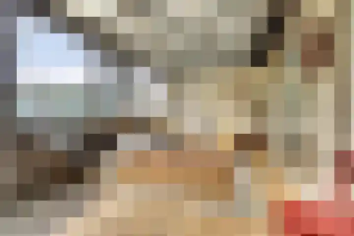 Singel 7 Noordeloos thumbnail 39