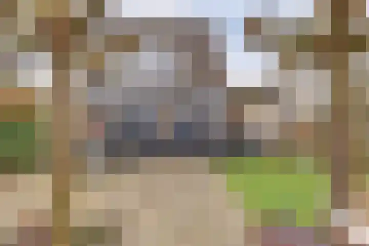 Singel 7 Noordeloos thumbnail 45