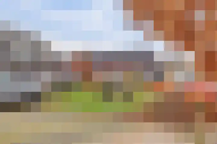 Singel 7 Noordeloos thumbnail 52