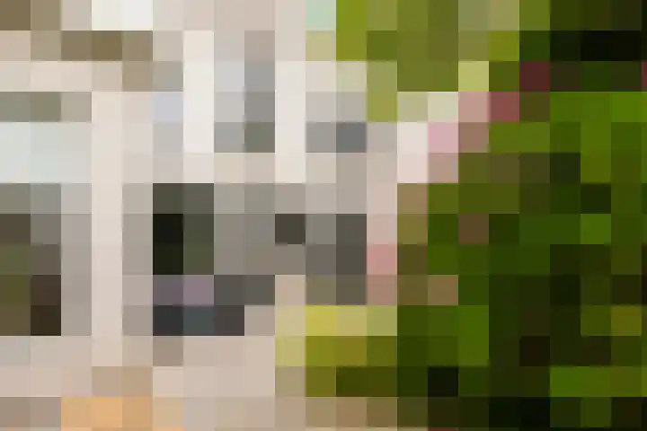 Singel 7 Sneek thumbnail 60