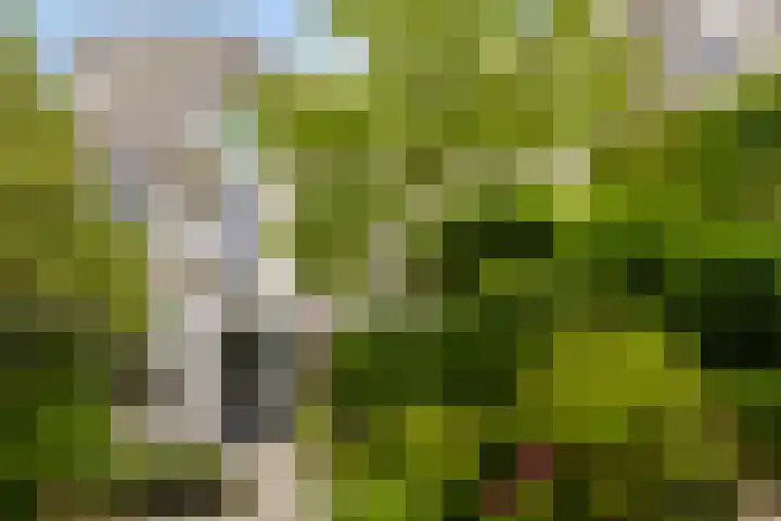 Singel 7 Sneek thumbnail 61