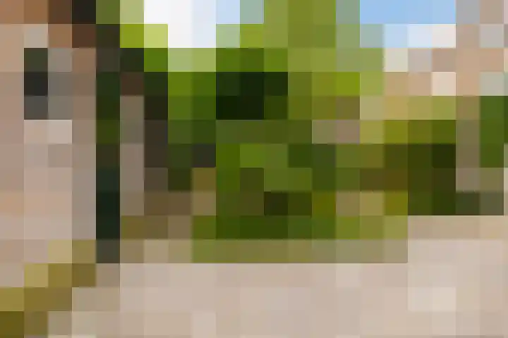 Singel 7 Sneek thumbnail 65