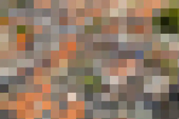 Singel 7 Sneek thumbnail 72