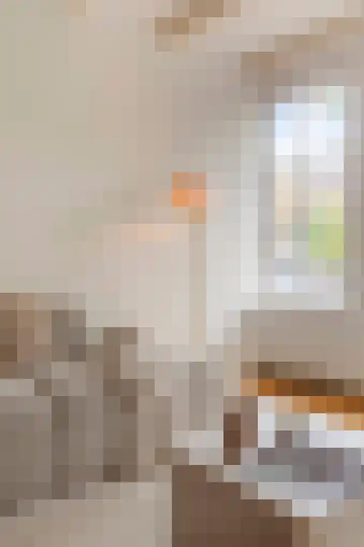 Singel 70 A Amsterdam thumbnail 18