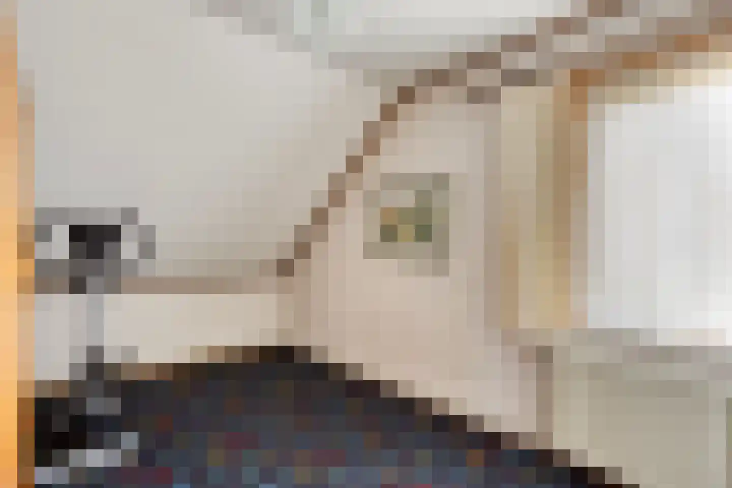 Singel 70 Westdorpe thumbnail 25