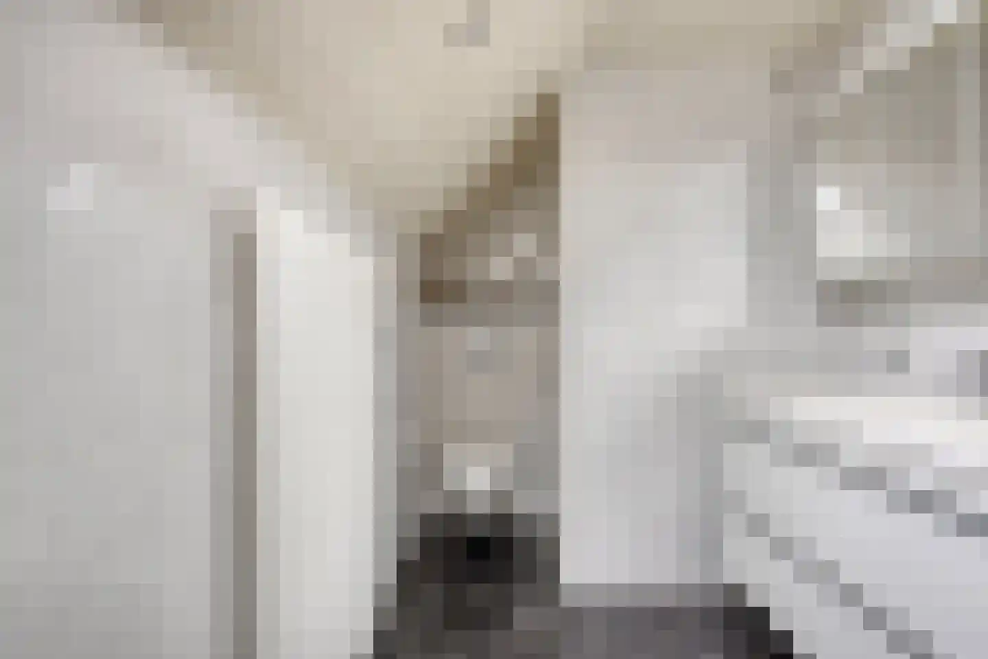 Singel 70 Westdorpe thumbnail 27