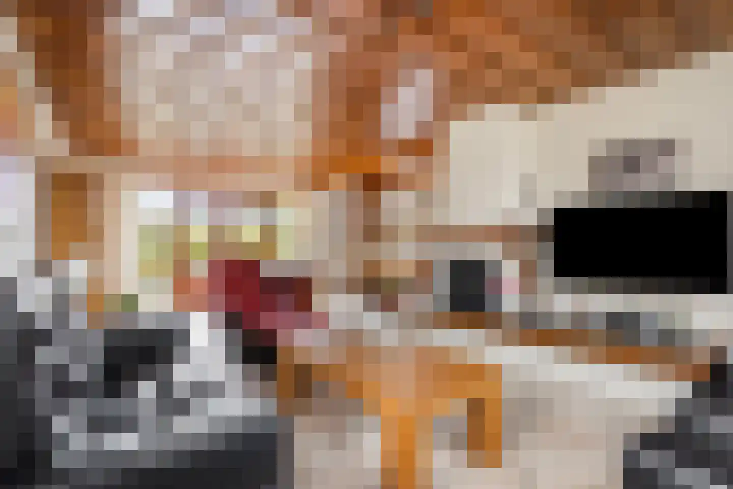 Singel 70 Westdorpe thumbnail 4