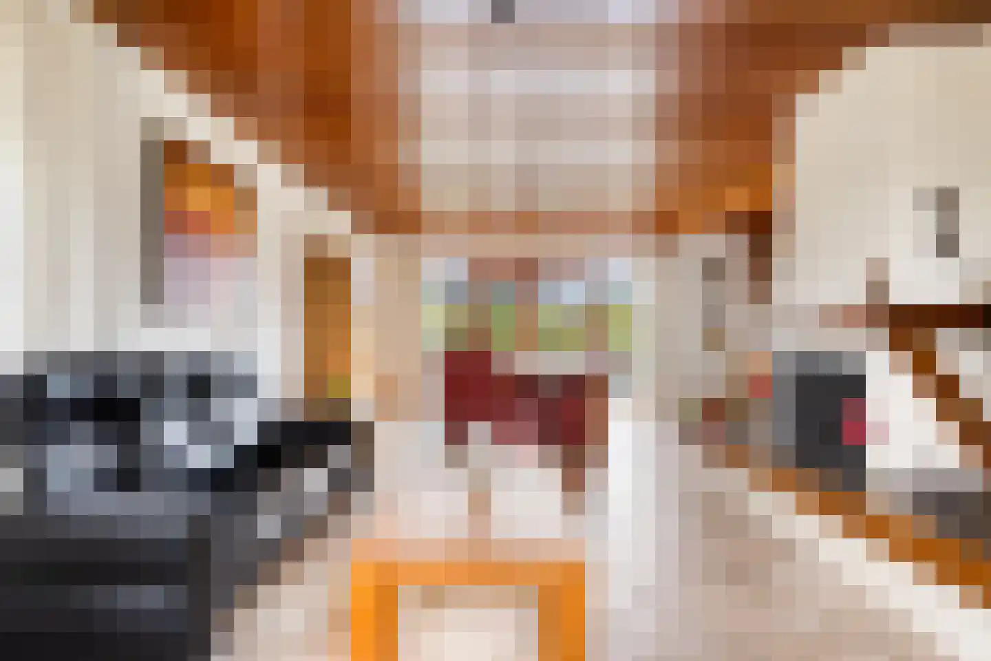 Singel 70 Westdorpe thumbnail 5