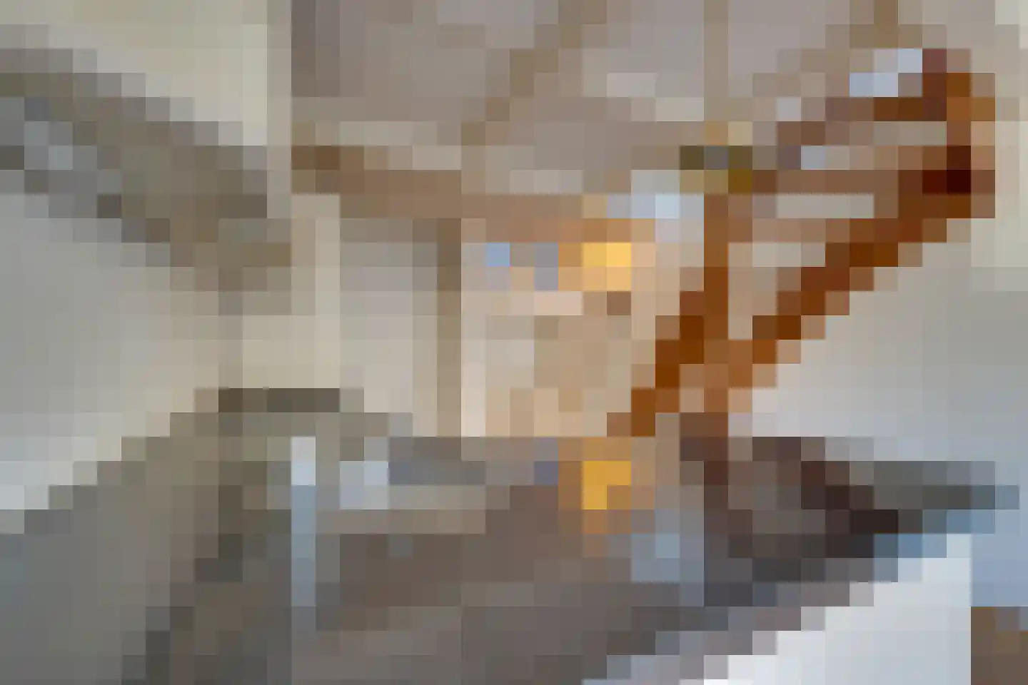 Singel 73 B Amsterdam thumbnail 13