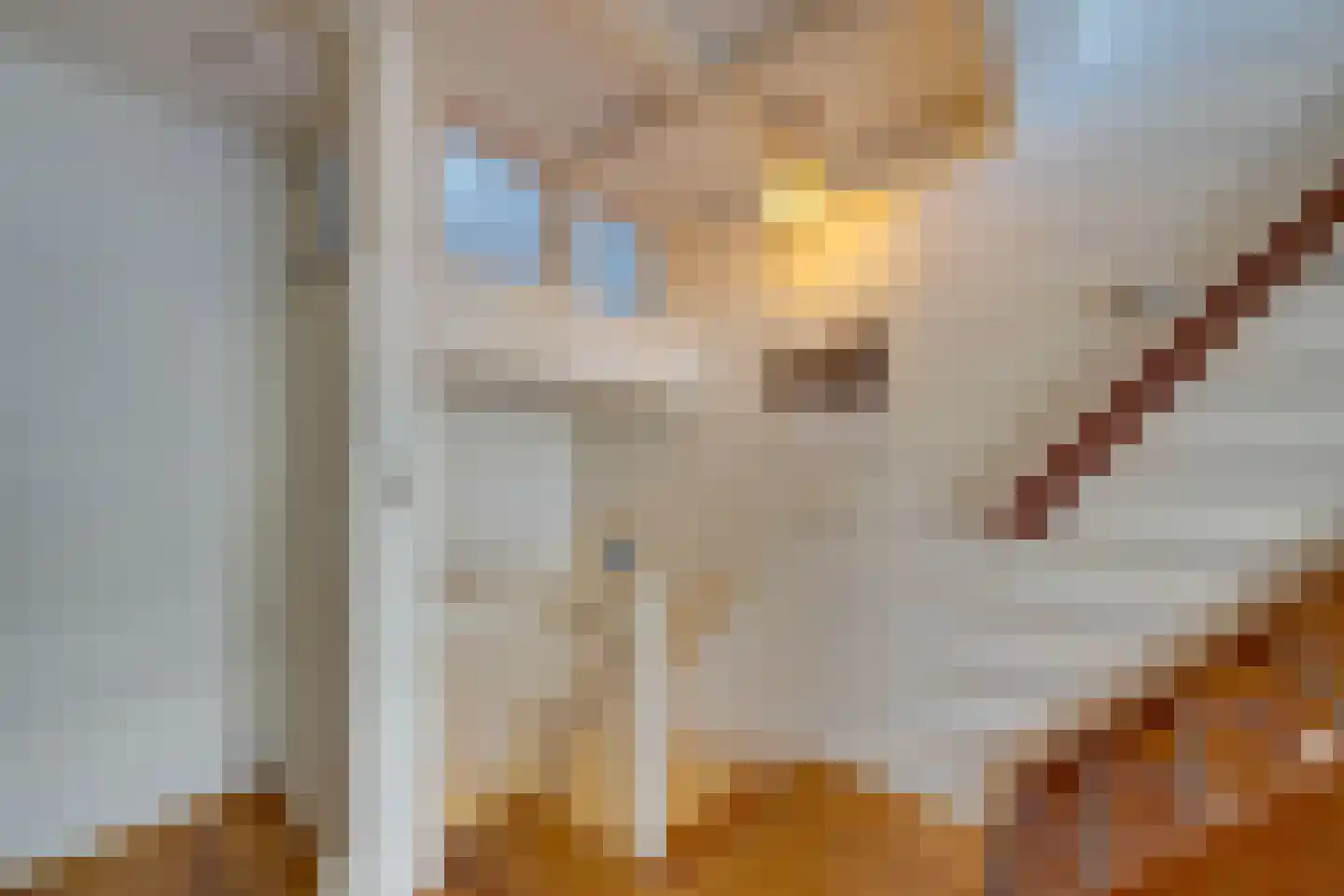 Singel 73 B Amsterdam thumbnail 15