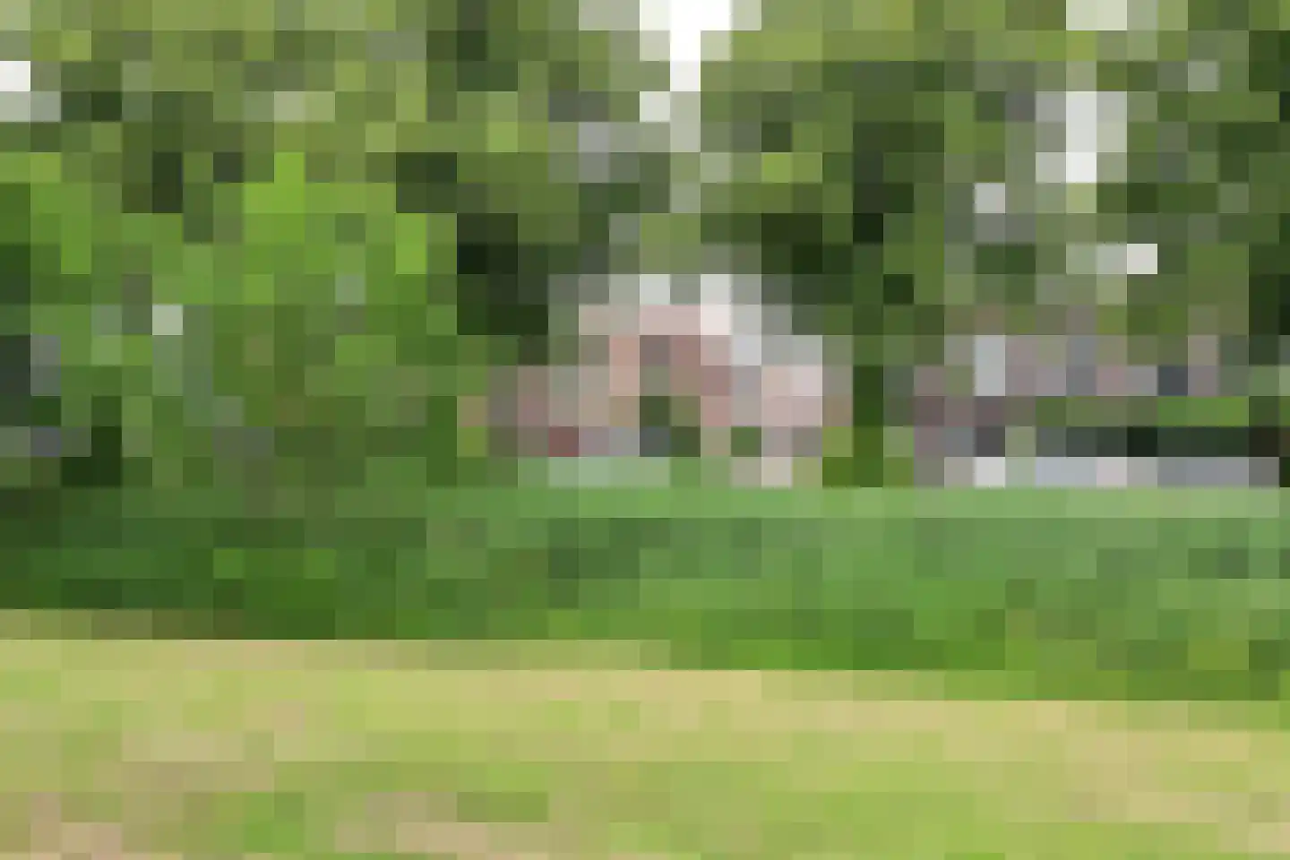Singel 73 Weesp thumbnail 39