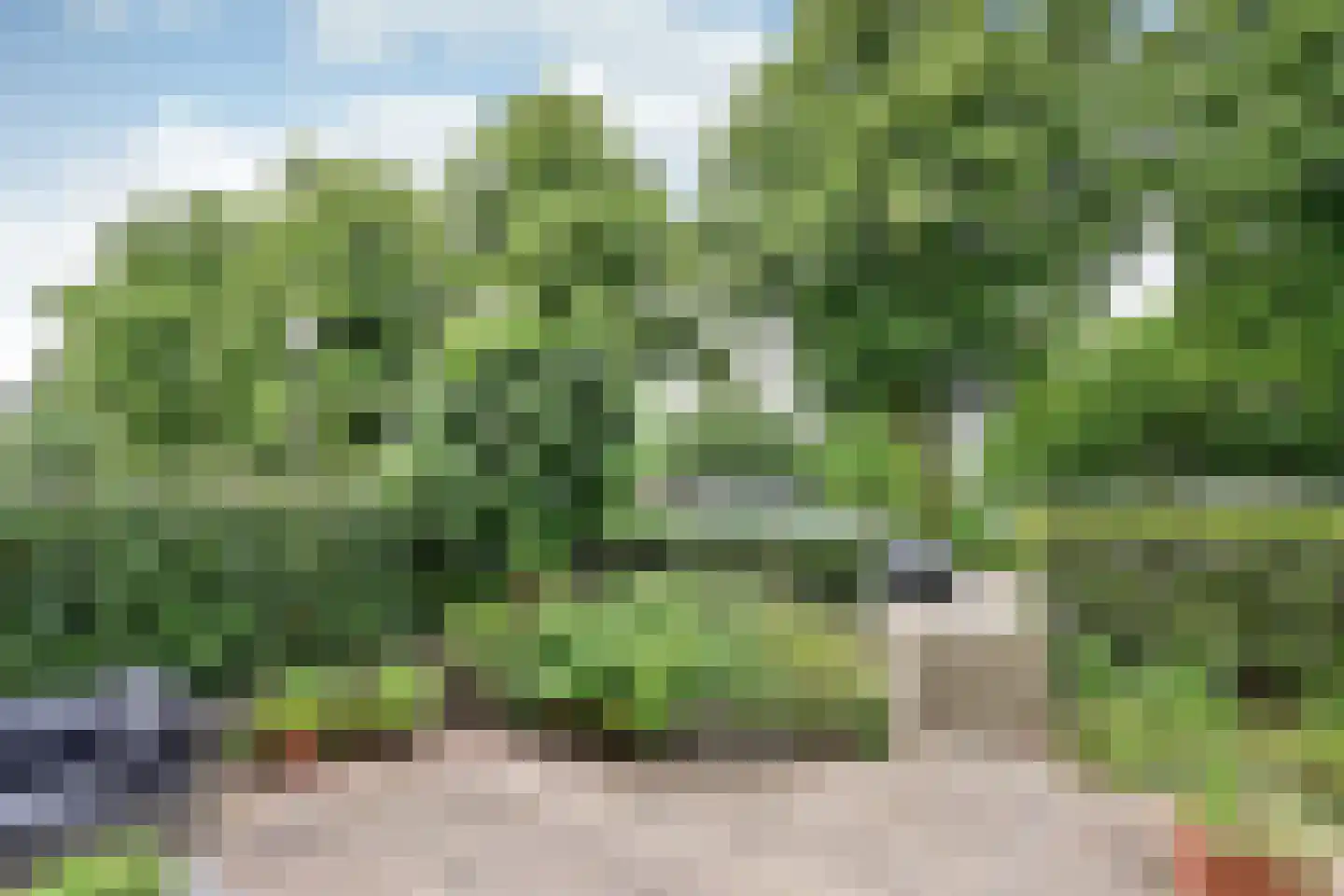 Singel 73 Weesp thumbnail 6