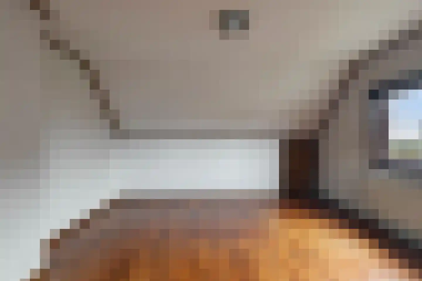 Singel 73 Westdorpe thumbnail 21