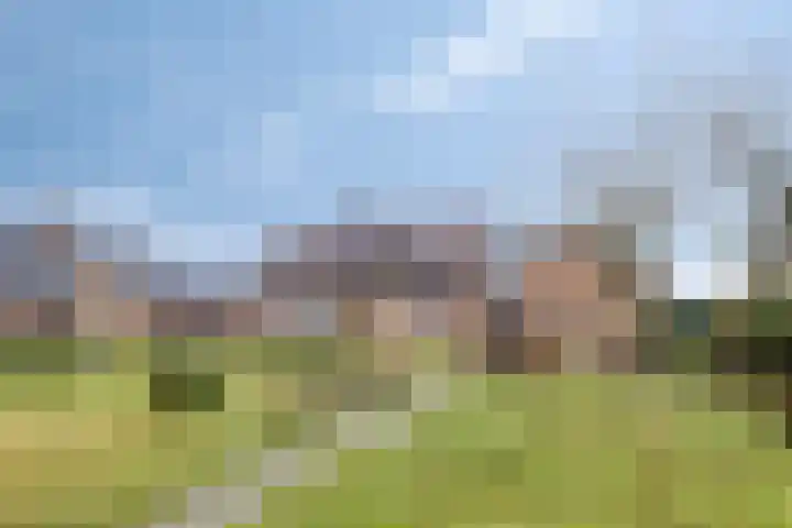 Singel 73 Westdorpe thumbnail 23