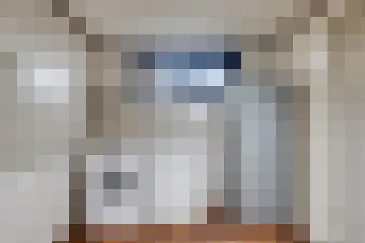 Singel 73 Westdorpe thumbnail 9