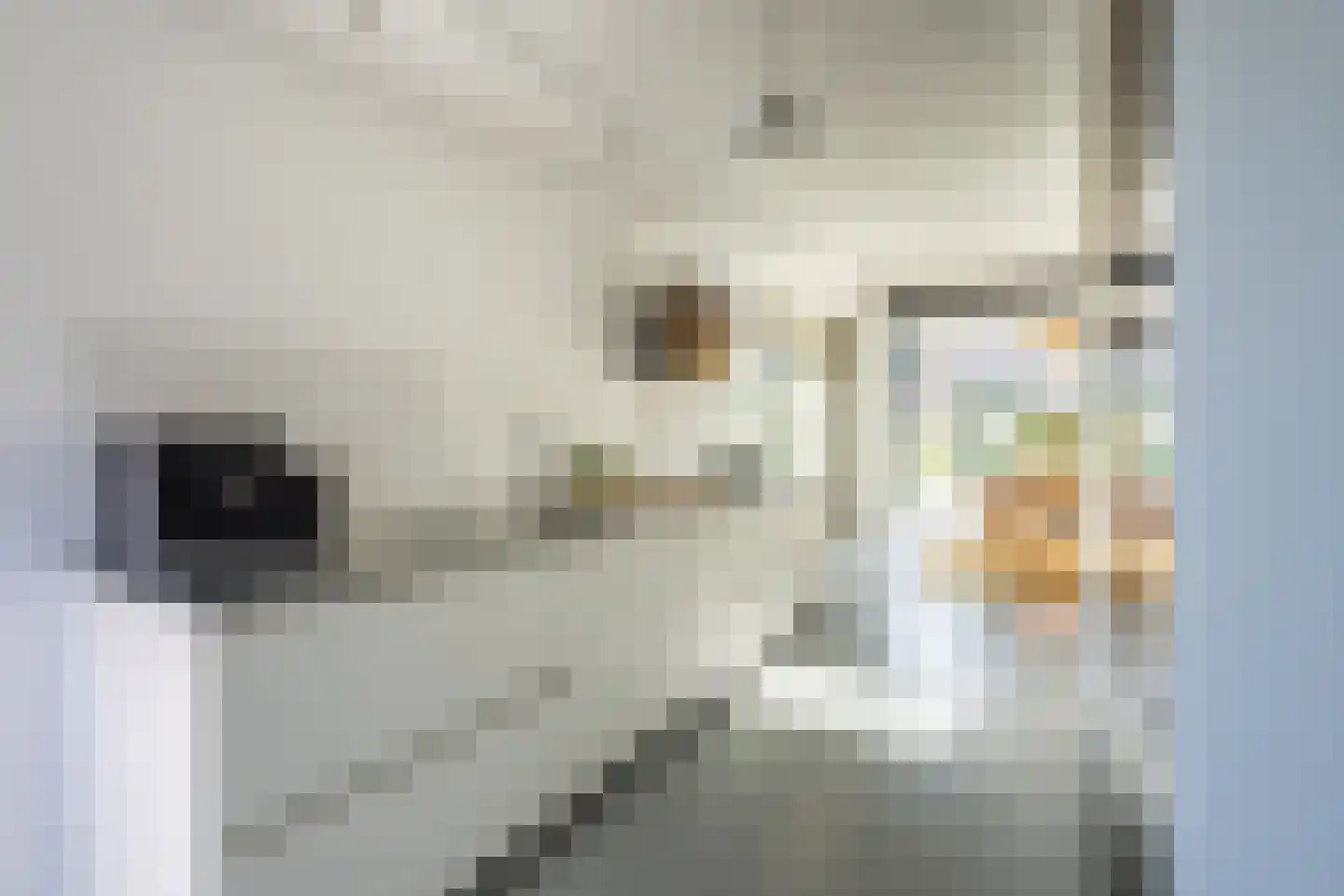 Singel 75 Westdorpe thumbnail 17