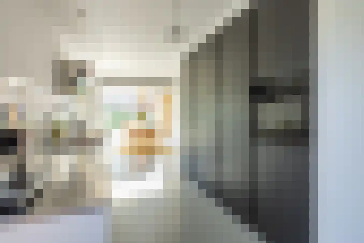 Singel 75 Westdorpe thumbnail 19