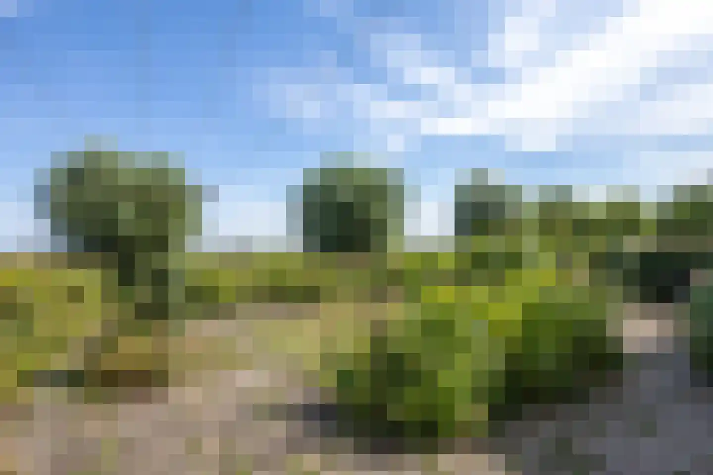 Singel 75 Westdorpe thumbnail 36