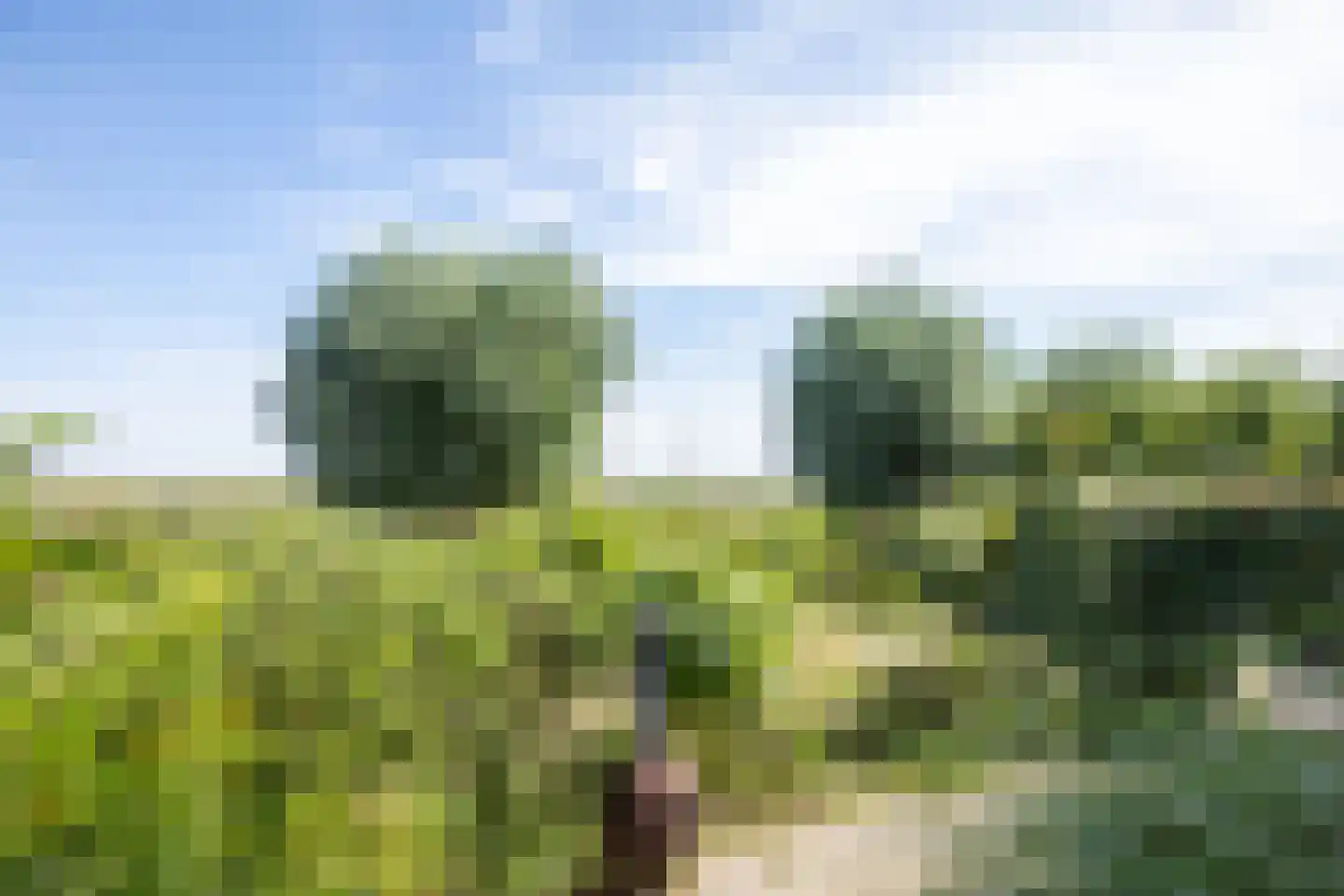 Singel 75 Westdorpe thumbnail 38