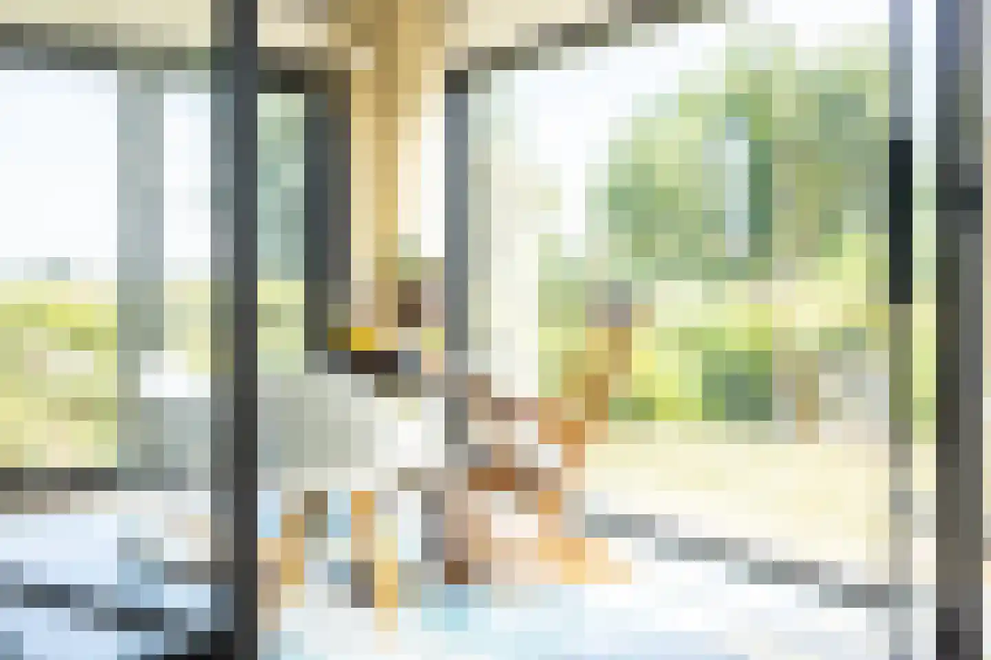 Singel 75 Westdorpe thumbnail 7