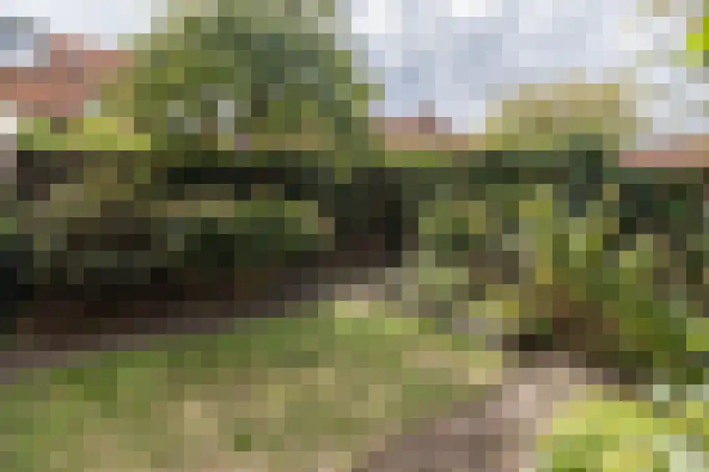Singel 78 Bussum thumbnail 48