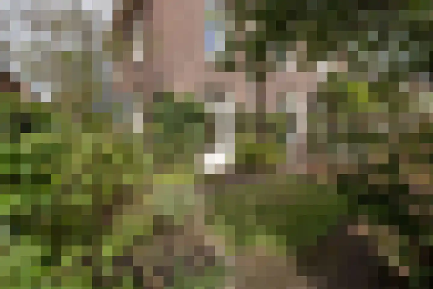 Singel 78 Bussum thumbnail 50