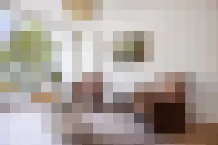 Singel 81 Molenhoek thumbnail 10