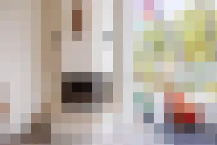 Singel 81 Molenhoek thumbnail 13