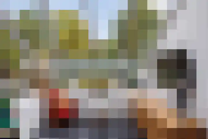 Singel 81 Molenhoek thumbnail 14