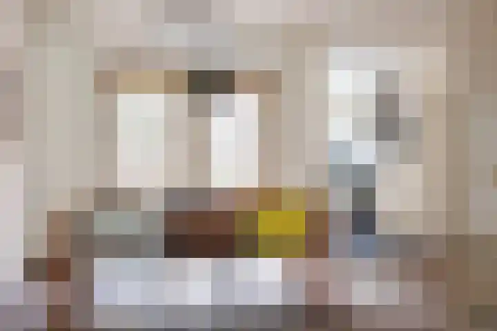 Singel 81 Molenhoek thumbnail 19