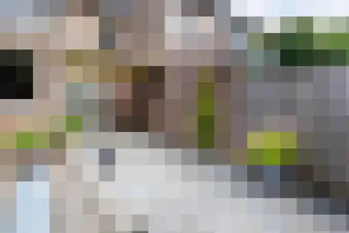 Singel 81 Molenhoek thumbnail 25