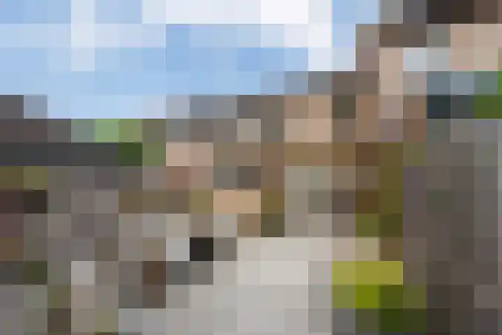 Singel 81 Molenhoek thumbnail 26