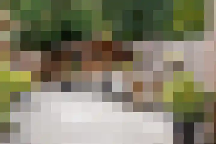 Singel 81 Molenhoek thumbnail 27