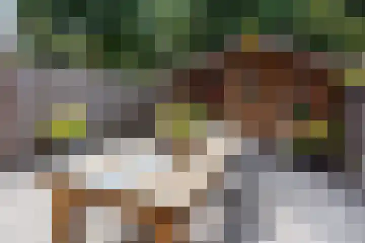 Singel 81 Molenhoek thumbnail 28