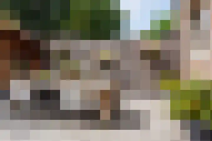 Singel 81 Molenhoek thumbnail 29