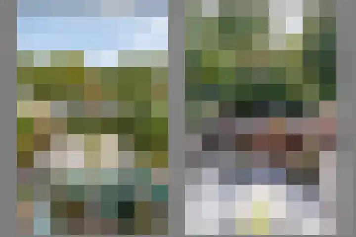 Singel 81 Molenhoek thumbnail 30