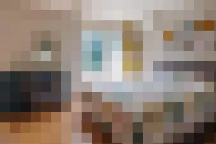 Singel 81 Molenhoek thumbnail 39