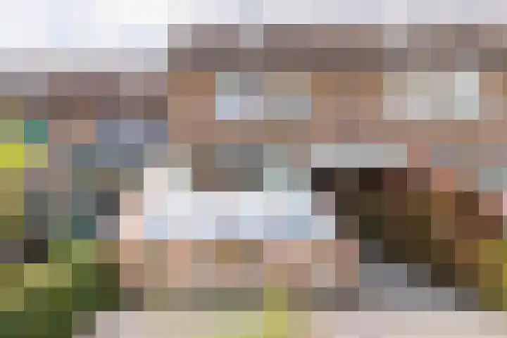 Singel 81 Molenhoek thumbnail 4