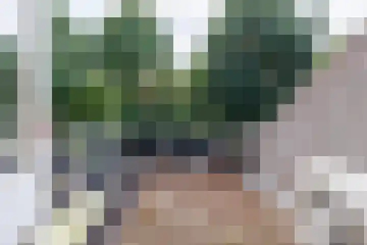 Singel 81 Molenhoek thumbnail 40