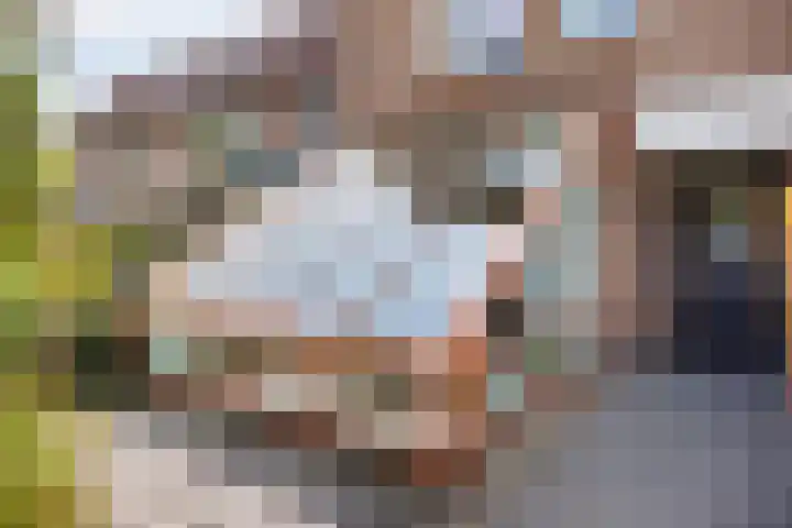 Singel 81 Molenhoek thumbnail 5