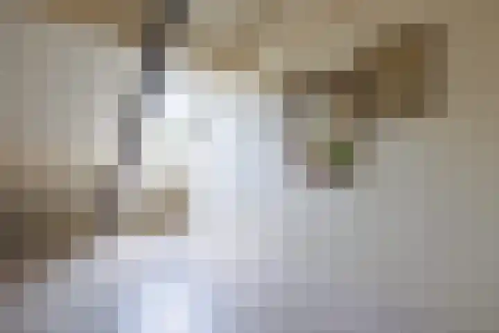 Singel 81 Molenhoek thumbnail 51