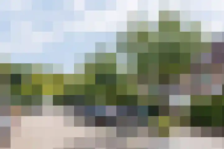 Singel 81 Molenhoek thumbnail 52