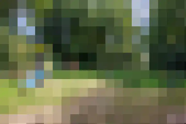 Singel 81 Molenhoek thumbnail 55