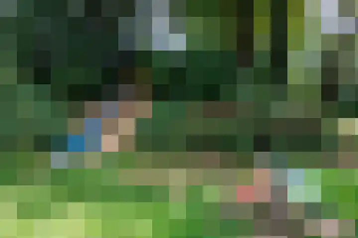 Singel 81 Molenhoek thumbnail 56