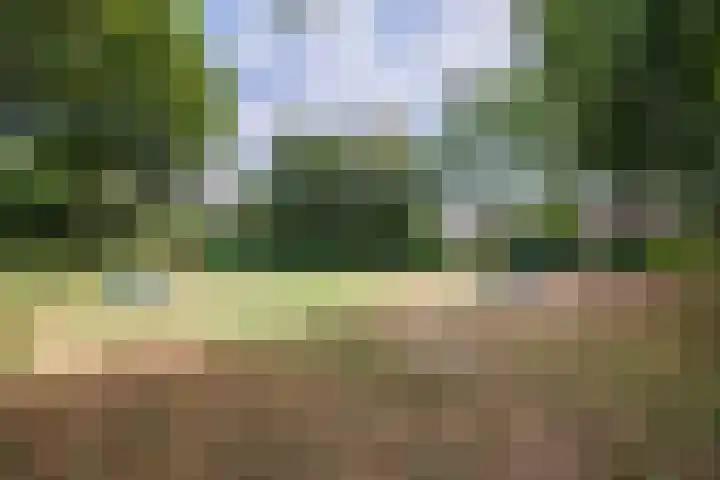 Singel 81 Molenhoek thumbnail 57