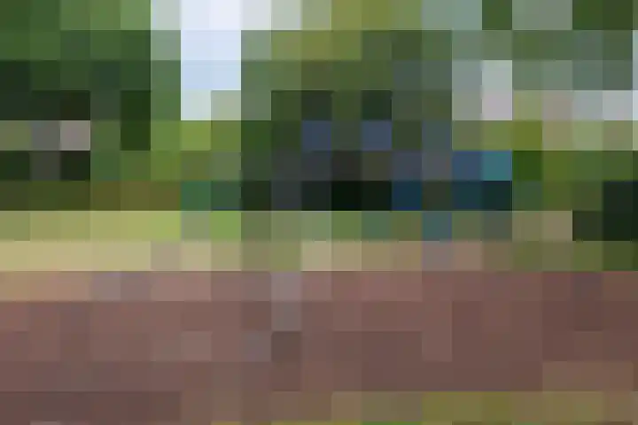 Singel 81 Molenhoek thumbnail 58