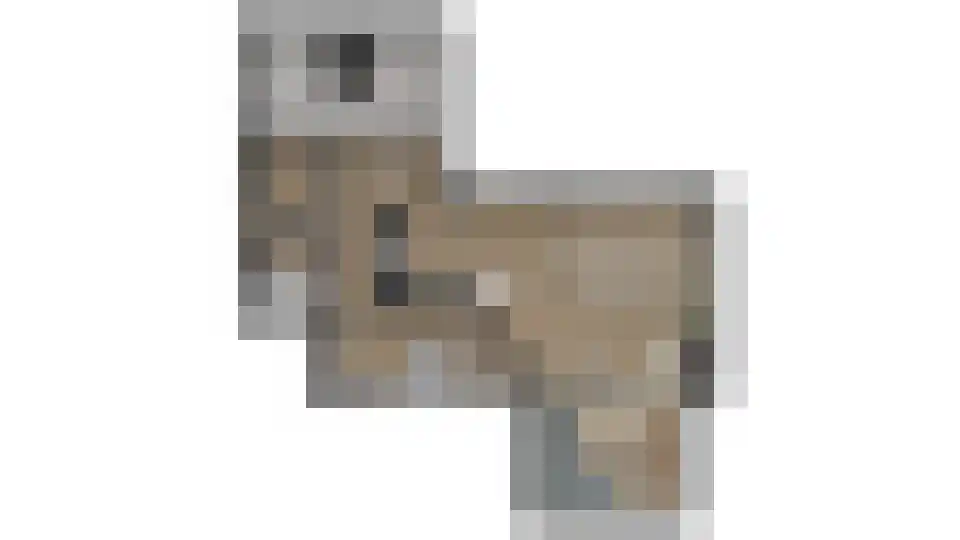 Singel 9 Blaricum thumbnail 10